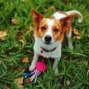 magicquill (5).webp